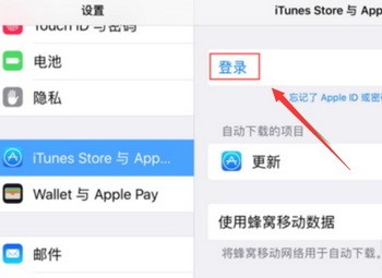 没有id的ipad怎么下载应用(苹果ipad没有appleid怎么下载应用)下载