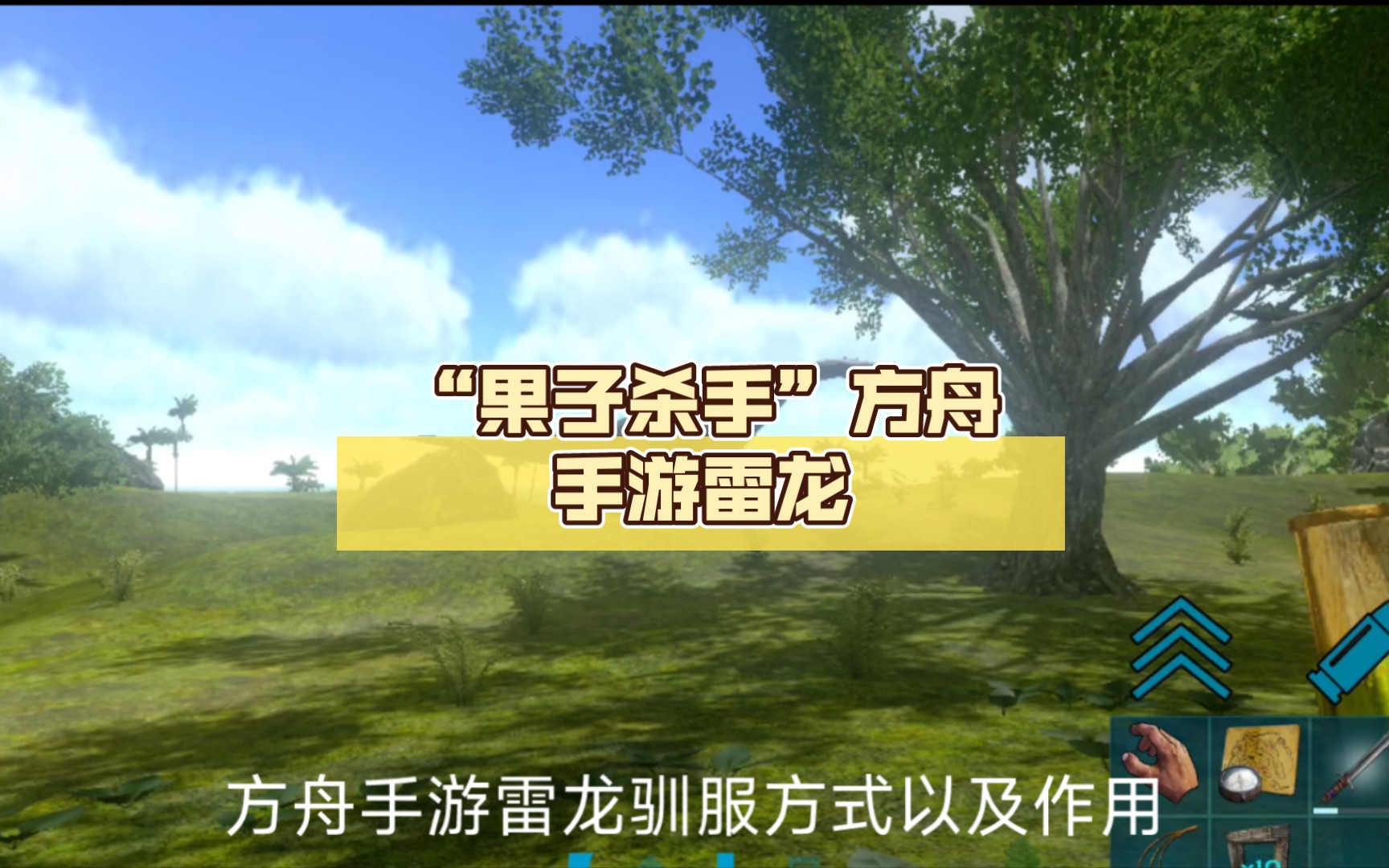 手游雷龙技巧攻略视频(手游雷龙技巧攻略视频教学)下载