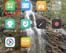 小壳网应用下载(甲壳虫app助手)下载